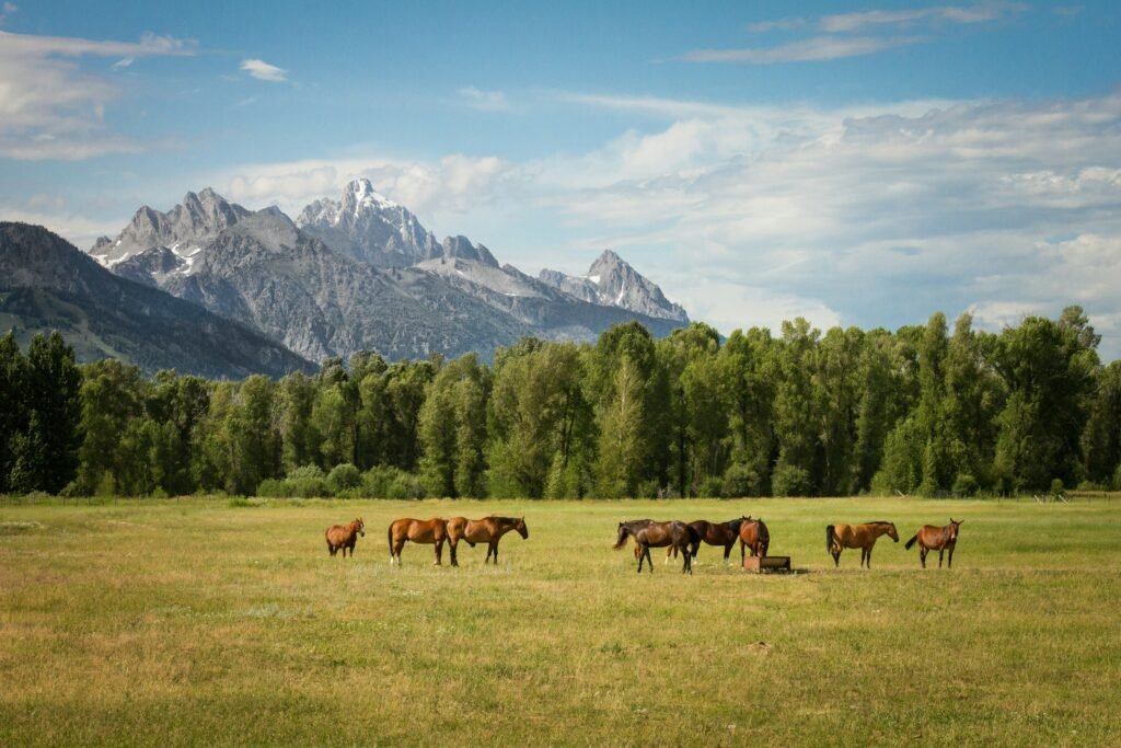 Multi-Country Tour Planning: 8 Easy Steps for Beginners
